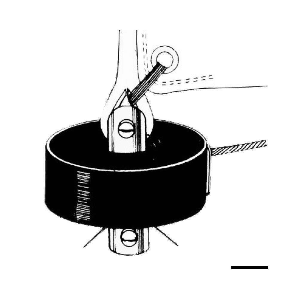 Girafiocco manuale SeaSure  